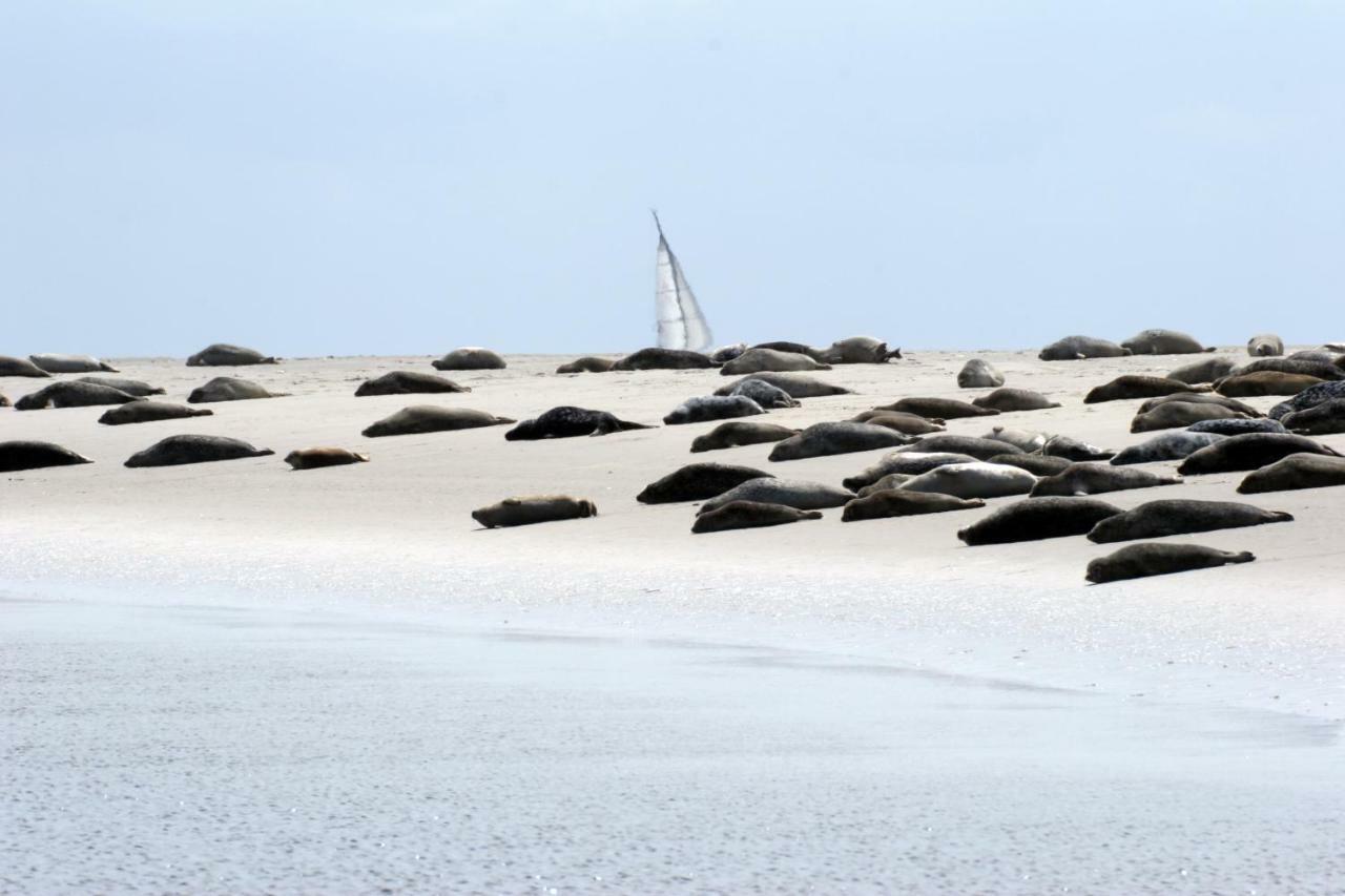 Borkumunterkunft - Woh3 - Im Herzen Der Insel Extérieur photo